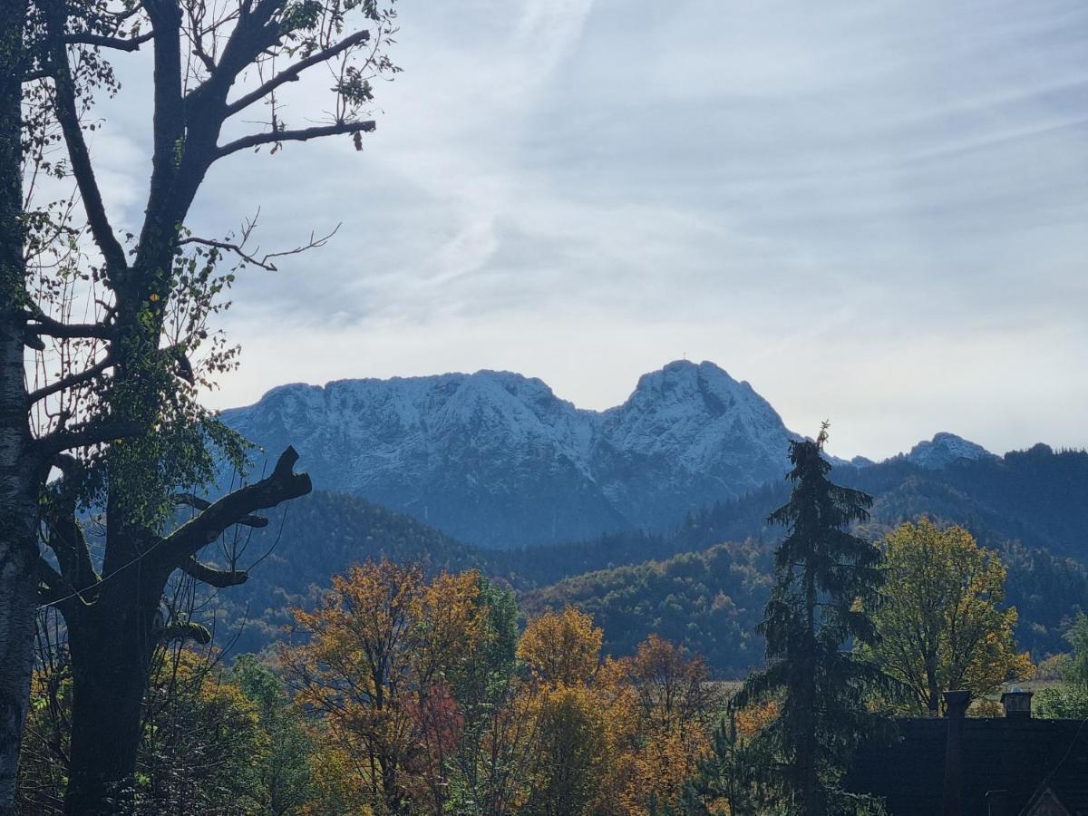 Karpielowka 77 Pokoje Goscinne Kościelisko Exterior foto